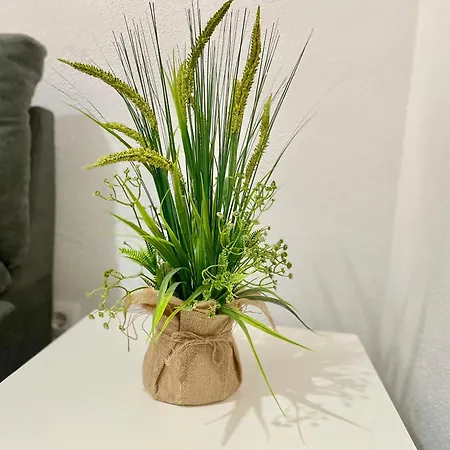 Chirinos House 公寓 科爾多瓦