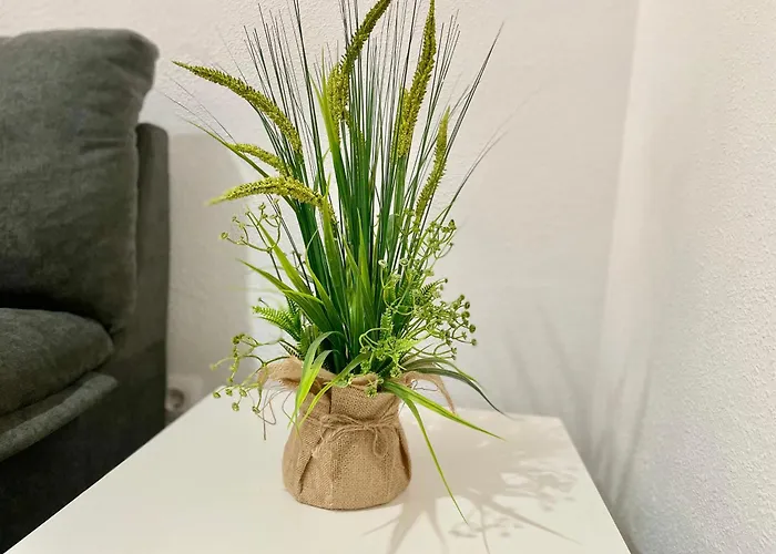 Geysotur Chirinos House شقة قرطبة